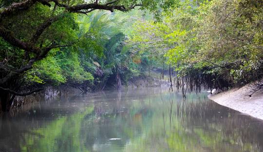 সুন্দরবন শিক্ষা সফর ফটো গ্যালারী
